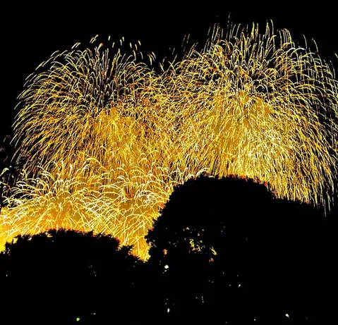 夜空を彩る黄金の軌跡