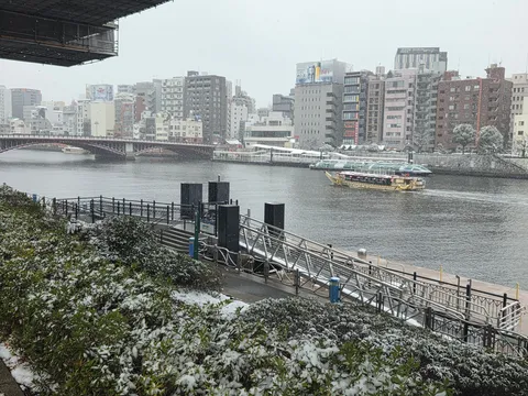 冬の訪れ、都会の静寂
