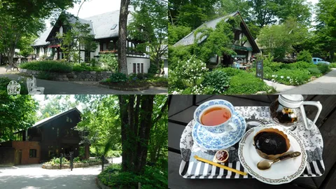 緑に包まれたティールーム