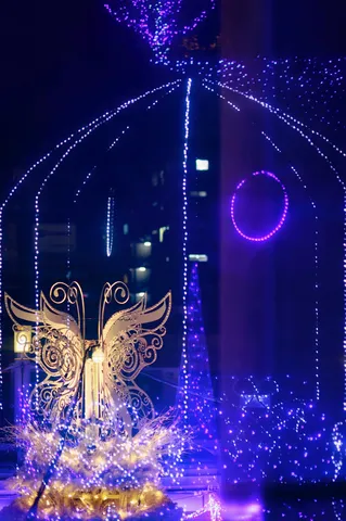 紫光に浮かぶ蝶の夜