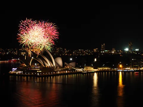 夜空を染める光の花