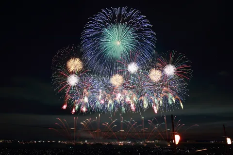 光が咲き誇る夜の祭典