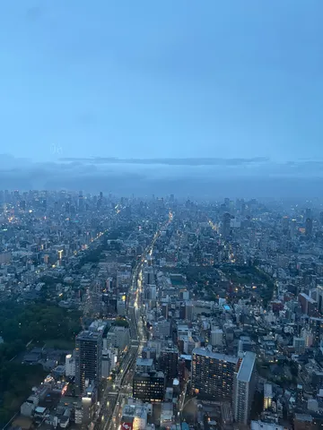 夜景に紛れた都会の囁き