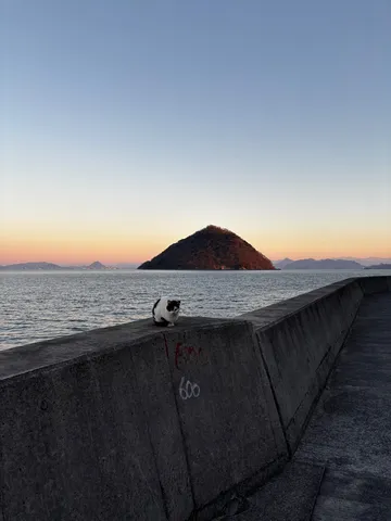 海辺の賢者、夕暮れの静寂