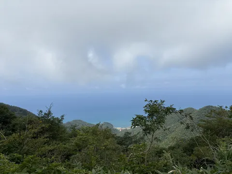 山から広がる静かな海景