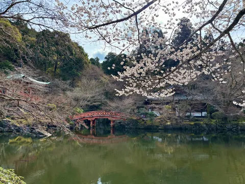 春色に染まる古都の小径