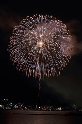 夜空に咲く光の大輪