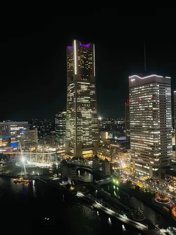 煌めくランドマークと夜の港
