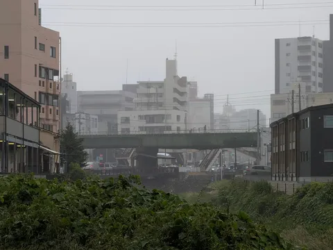 都会の霧と緑のコントラスト