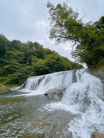 流れ落ちる緑の静寂