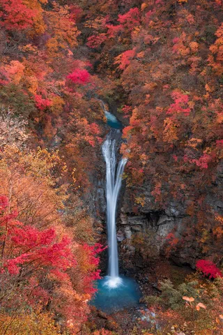 紅葉の森、滝の余韻