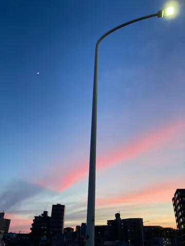 見上げた景色