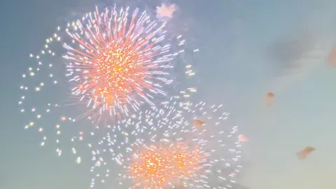 夜空に咲く光の花