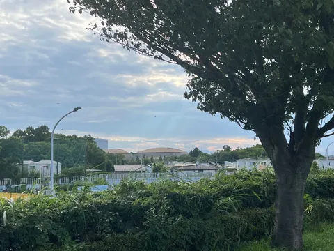神降臨