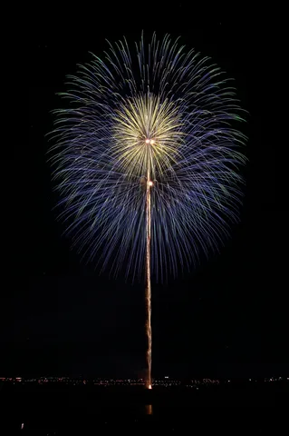 夜空を彩る光の華