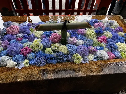 色と水の手水舎風景