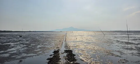 光の道と遠い山並み