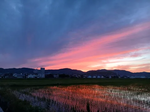 水鏡に映る茜色の空
