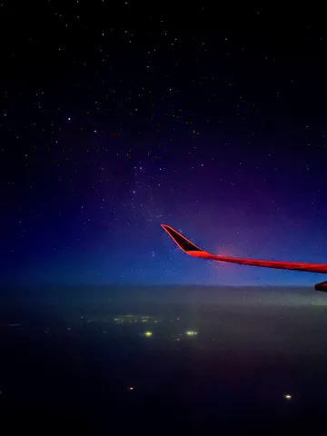 夜空と翼の静かな余韻
