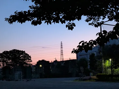 夕暮れ時の電波塔と木々のシルエット