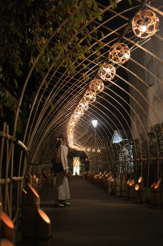 夜の竹アーチに灯る静かな道