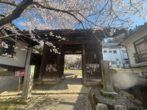 古都の桜門、時を刻む