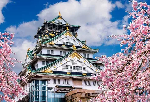 春の主役はどっち？桜vsお城