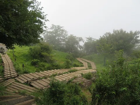 霧深き山道の木道