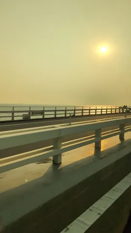 黄昏の海と欄干の影