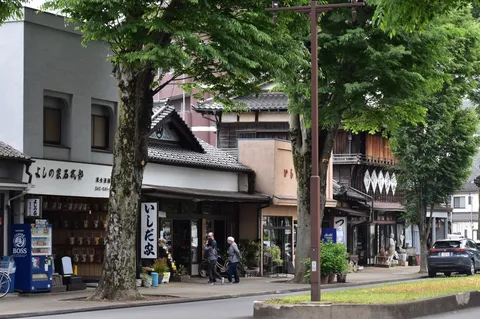 街路樹と風情ある店
