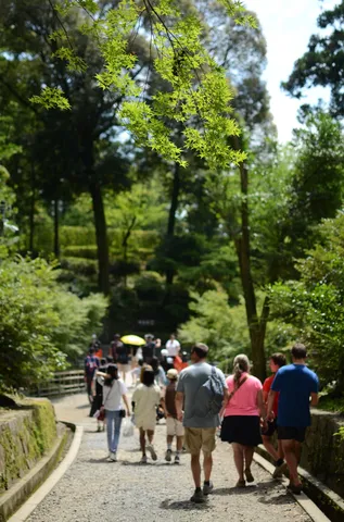 木漏れ日と新緑の散策路