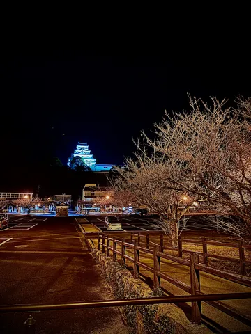 夜空に浮かぶ青き古城と月
