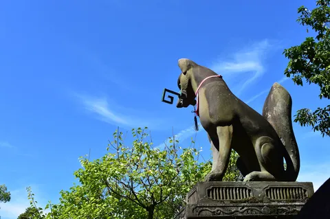 空を見上げる守り犬