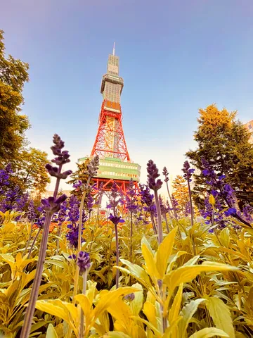 花とタワー、空のコントラスト