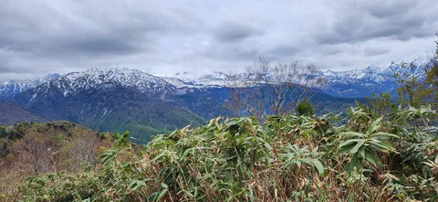 葉叢と雪化粧の山並み