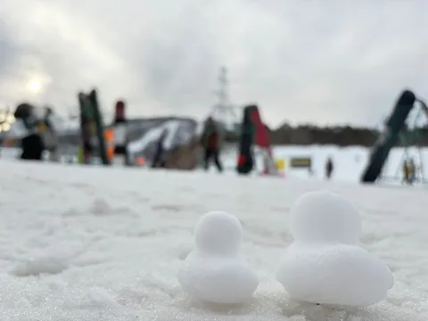 雪国のちいさな住人たち