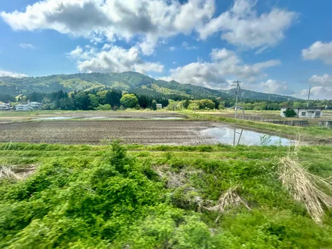 田園風景と山々の緑
