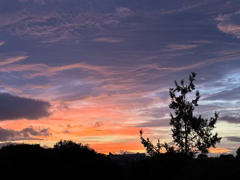 紫とオレンジの空、シルエットが映える