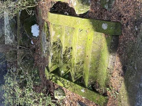 昔