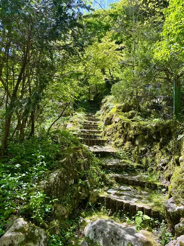 苔むす古道、緑深き山路