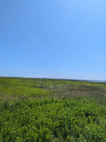 青と草の風景散歩