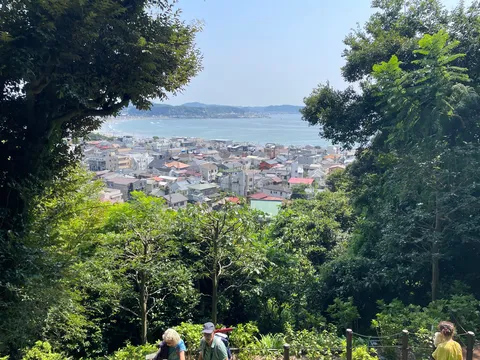 緑と海、街並みのコントラスト