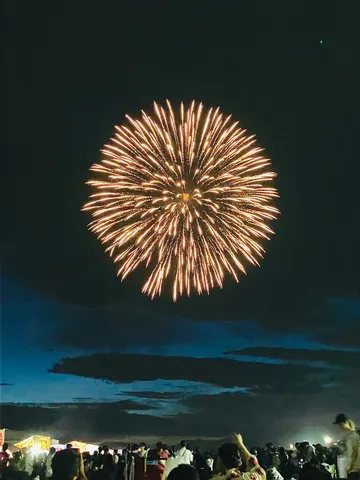 夜空に咲く黄金の花火