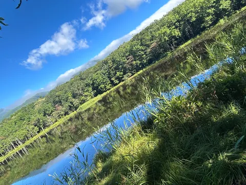 山肌を映す静かな湖面