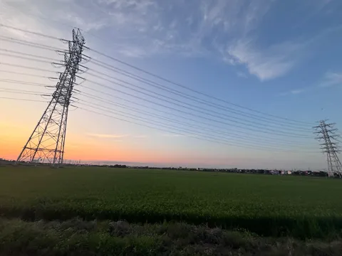 夕暮れの送電線と緑の田園
