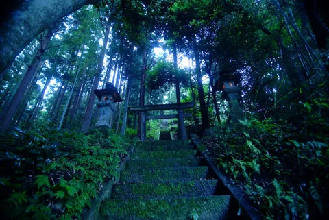 苔むす石段、古の森の誘い