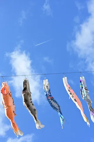 青空を泳ぐ五色の風