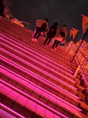 ネオンが導く夜の階段