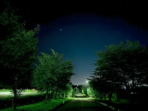 星空と木漏れ日の道