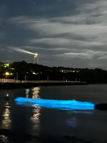 夜光る海と灯台の光